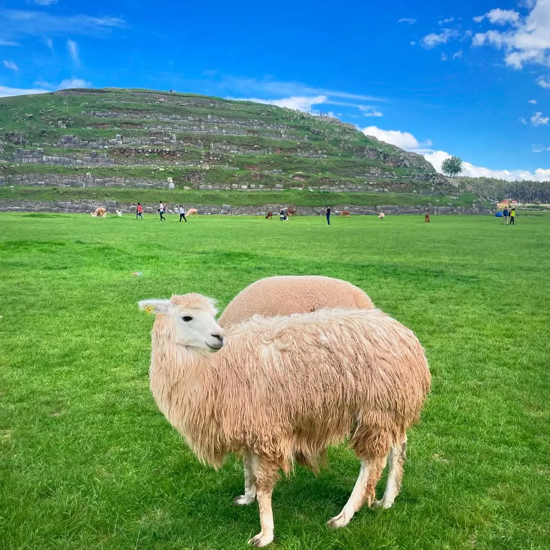Sacsayhuamán archaeological site in Cusco